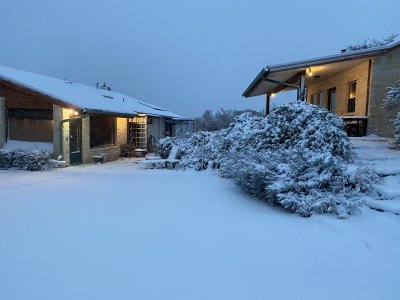 8A72879E-03C3-4E5B-AE65-B4BD146695A0.jpeg