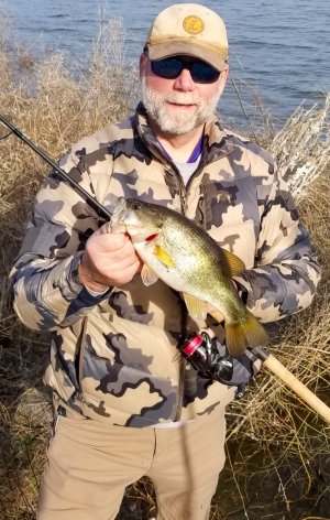 Sweetbass _01-31-21A.jpg