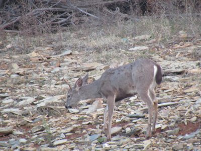 IMG_1719.JPG