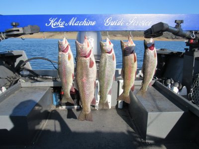 IMG_1729.JPG