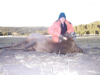 Johnnys elk.jpg