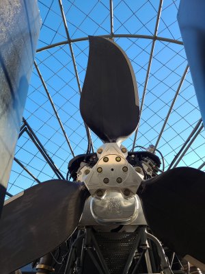 IMG_20201111_153312.jpg