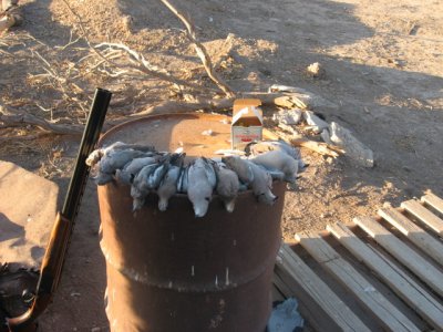 IMG0080_006.jpg