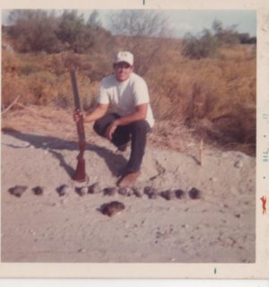 1st gambel quail 1972.jpg