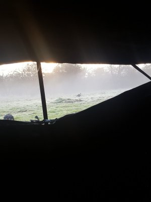 20210320_072347.jpg