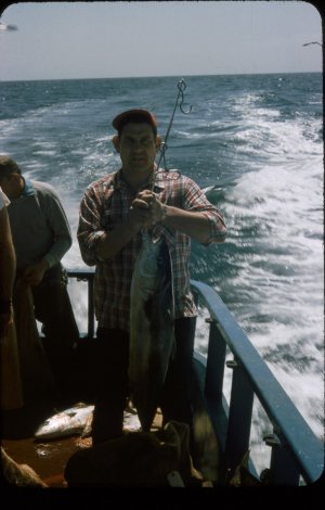 scan061.jpg