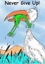 frog.jpg