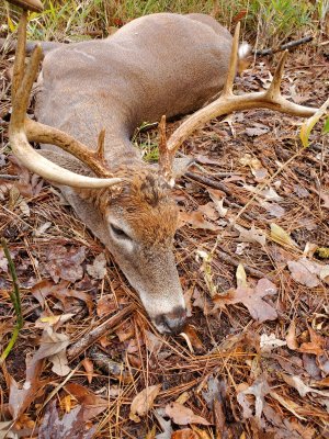 20201205_121339.jpg