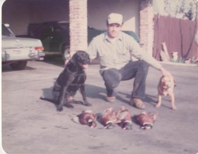 sac roosters 1973.jpg