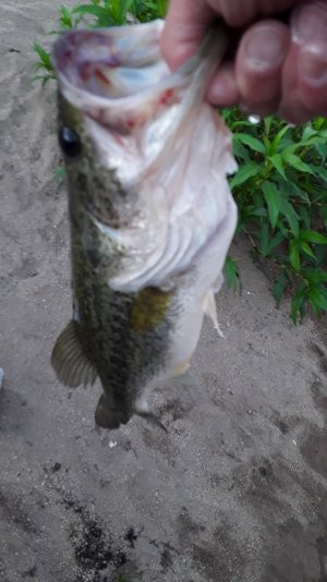 20210603_065220.jpg