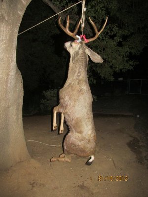Bucks & Wister 10-31-12 105.JPG