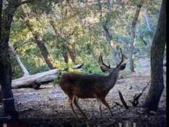 IMG_1089.jpg