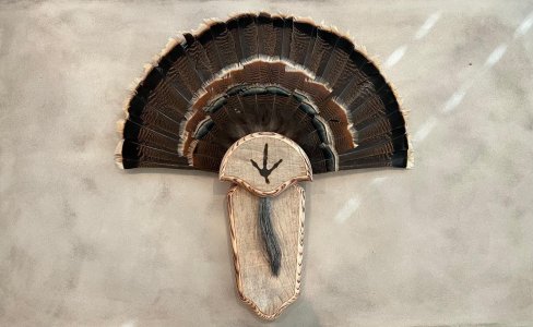 UT Mount.jpg