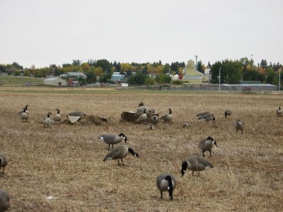 canada 2007 030.jpg