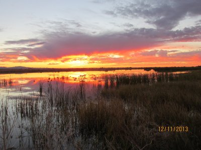 IMG_5297.JPG