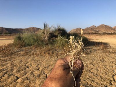IMG_2647.JPG