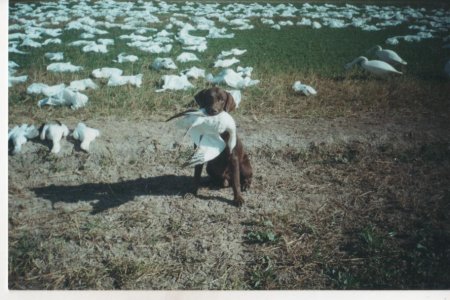 yeager @ union trac 2000.jpg