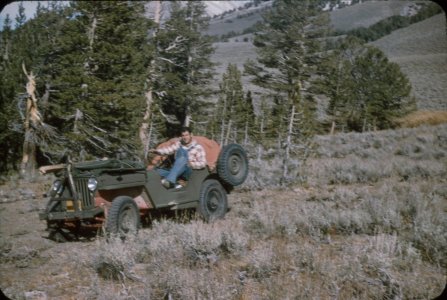 scan032.jpg