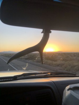 17056944-7750-4F45-A8CA-5C6AAEA7FB66.jpeg