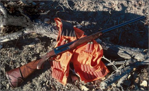 winchester 21.jpg