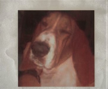 lloyd (2).jpg