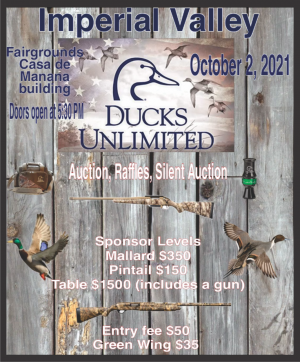 DU flyer.png