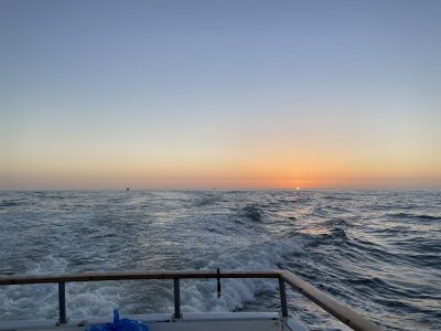 3B24DDB9-F7ED-4913-813A-1E75C65B442A.jpeg