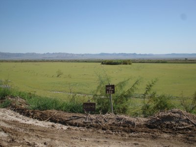 wister spring 2011 029.JPG