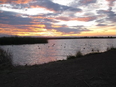 wister 12-18-10 007.JPG