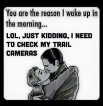 trail cams.jpg