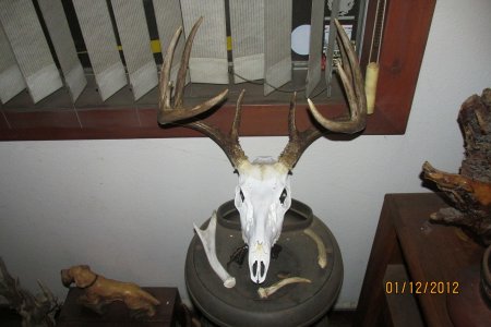 euro mount 001.JPG