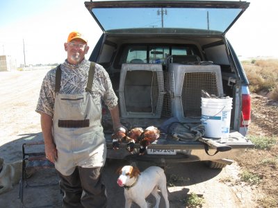 pheasant,dove,deer nov 10-14 027.JPG