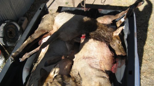 Fred's Ranch Pics 017.jpg