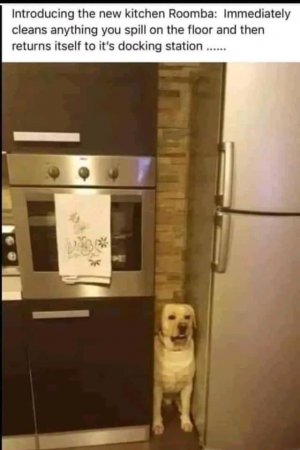 E7BFDD7C-161C-414C-997B-EDCBF12F29F2.jpeg