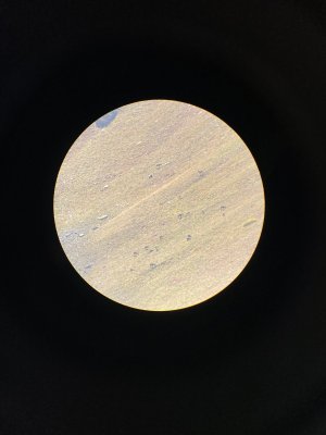 02E2CFF0-A82A-4ABF-8617-ABD0EEBAFD19.jpeg