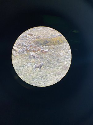 EF233164-F54B-48FF-9720-6F0BA834418F.jpeg