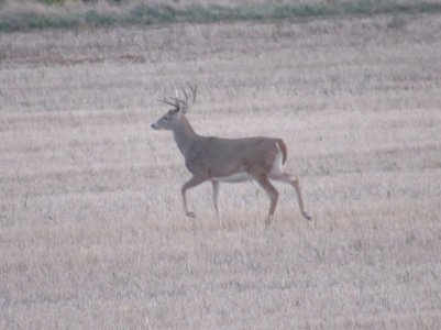 IMG_0218.JPG