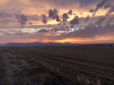 IMG_3133.JPG