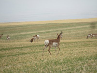IMG_0257.JPG
