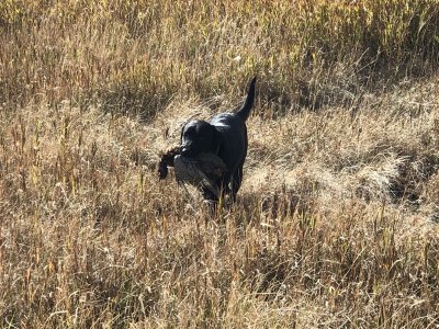 IMG_3221.JPG