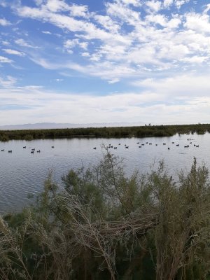 20201101_090057.jpg