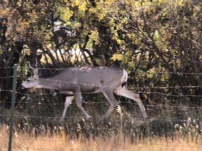 IMG_3249.JPG
