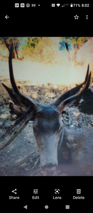 Screenshot_20211019-200253.png