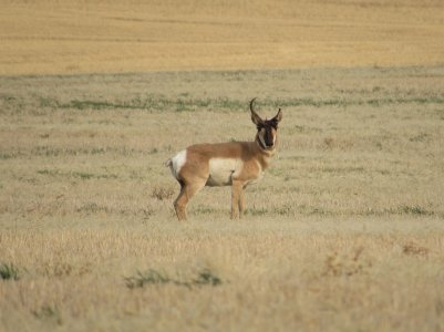 IMG_0189.JPG