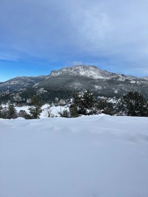 IMG_1399.jpg
