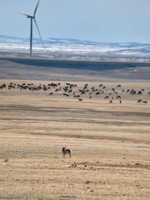 IMG_1474.jpg