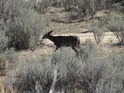 IMG_0391.JPG