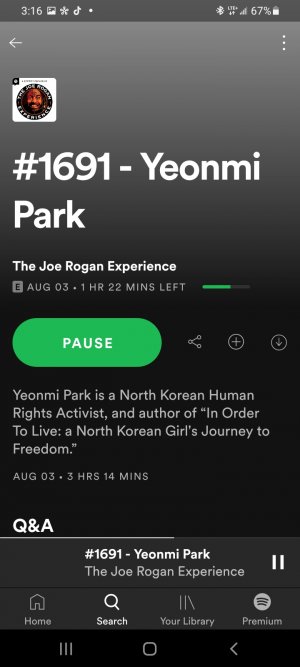 Screenshot_20211030-151651_Spotify.jpg