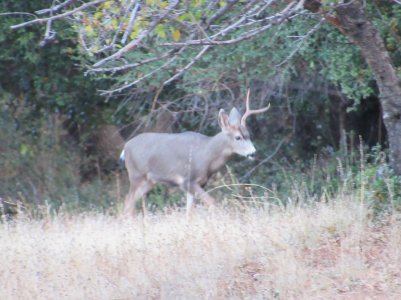 IMG_0421.JPG