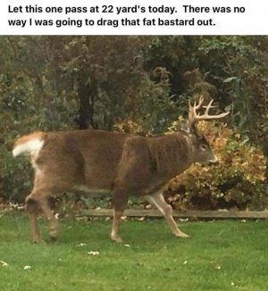 9B36E54D-FD8F-4E12-9715-6B541E1BA28E.jpeg